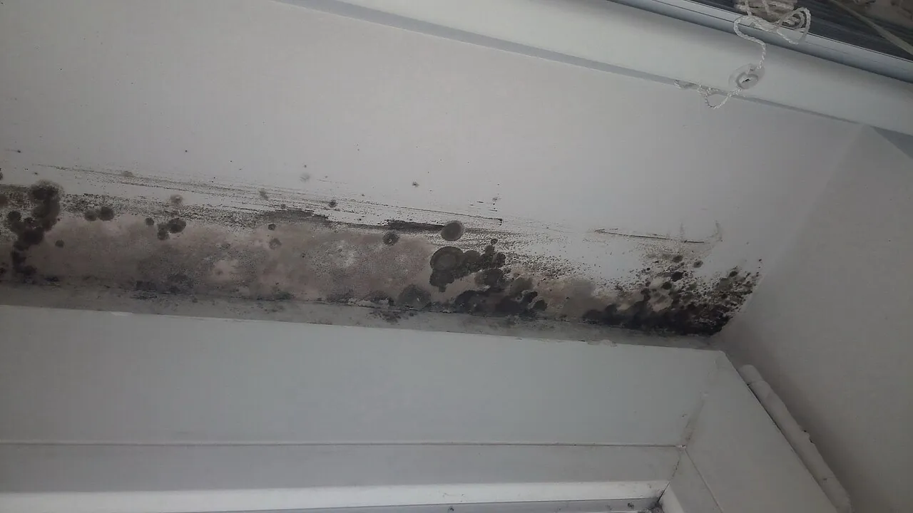Slab Leak Water Bill Spike Causes | ProLine Leak Fix Pros