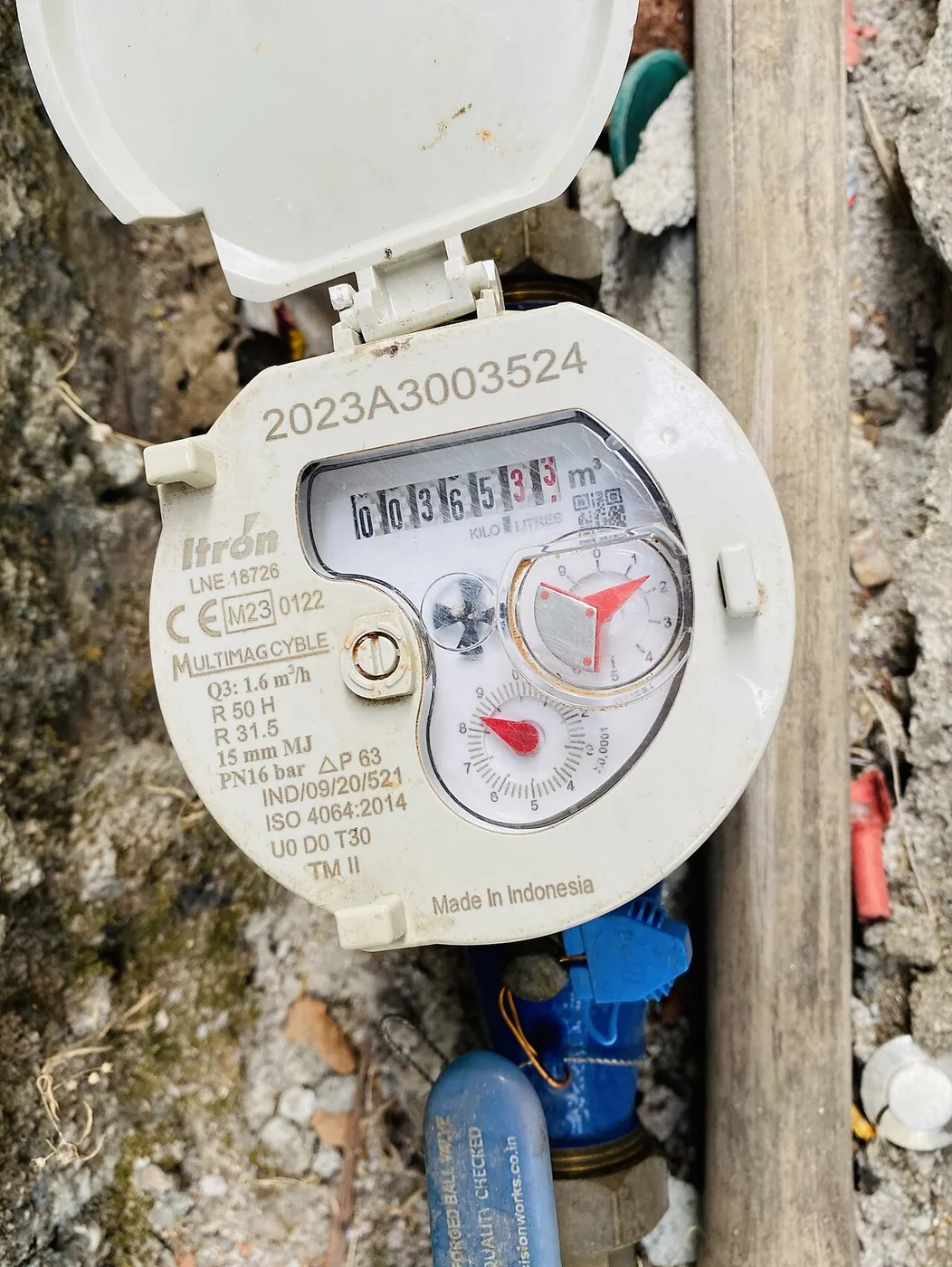 Winterizing home plumbing pipes in Lynnwood WA guide