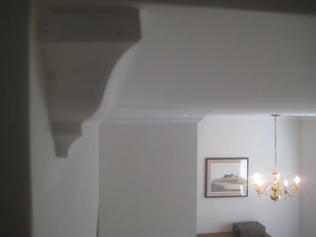 Mold Hidden Water Leaks Explained | ProLine Leak Fix Pros